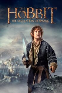 دانلود فیلم The Hobbit: The Desolation of Smaug 2013 هابیت 2