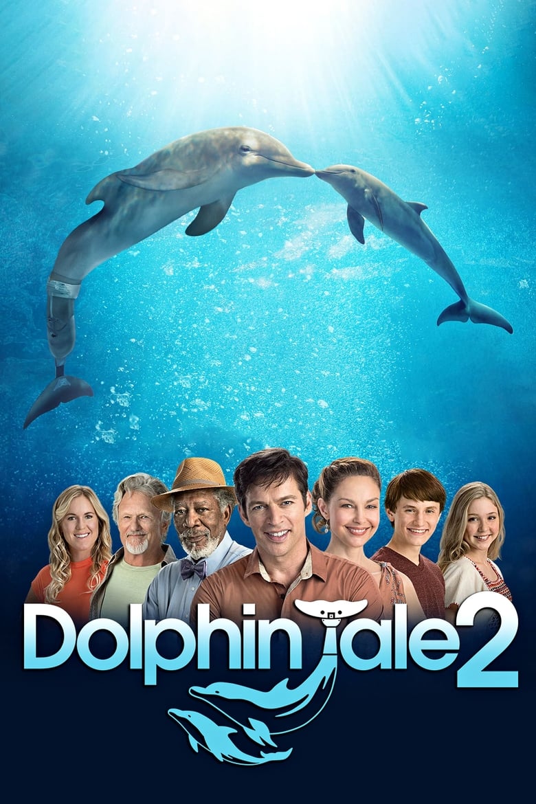 دانلود فیلم Dolphin Tale 2 2014 داستان دلفین ۲